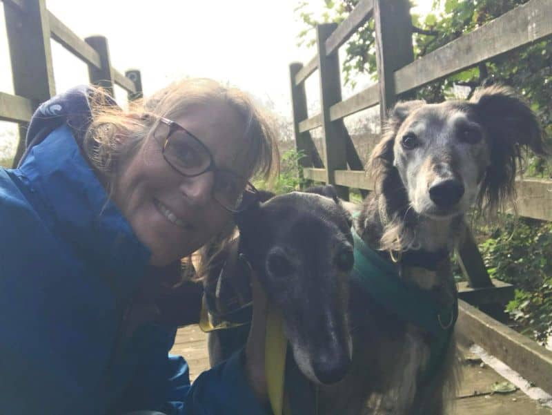 Sarah with two lurchers on a wooden bridge.