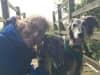 Sarah and two lurchers posing for a photograph on a wooden bridge